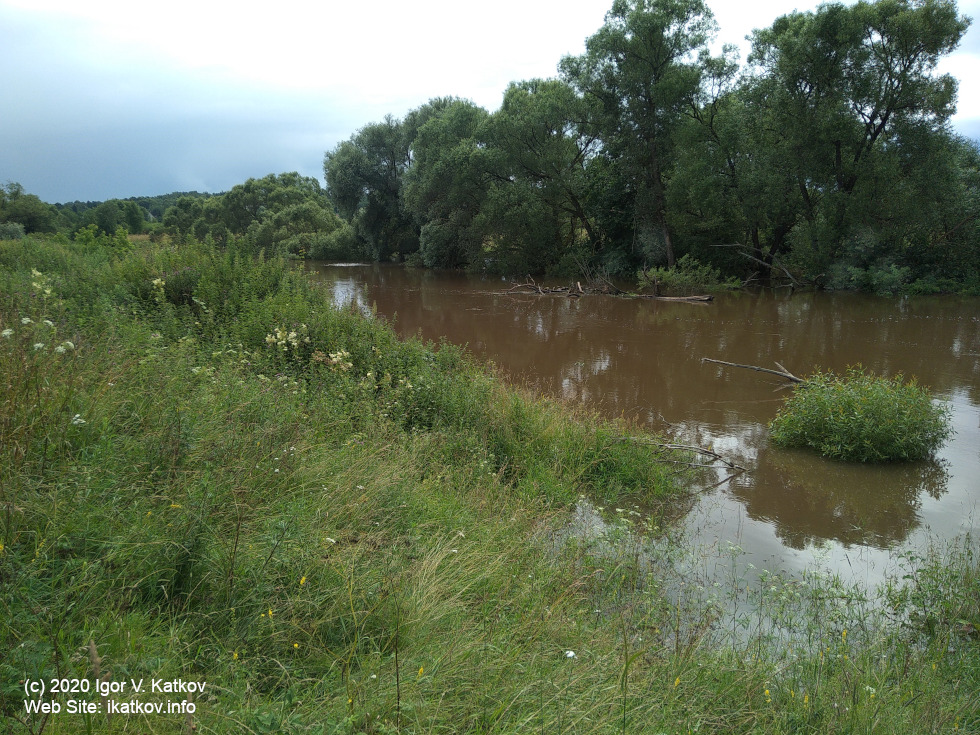 Спад летнего паводка на реке Лужа